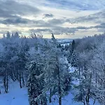 Domki Piwniczna Piwniczna-Zdroj