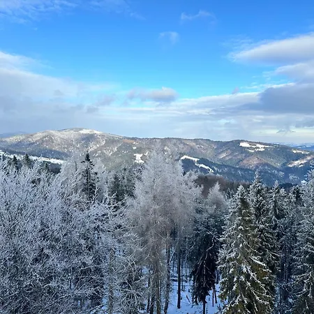 Domki Piwniczna Lodge *