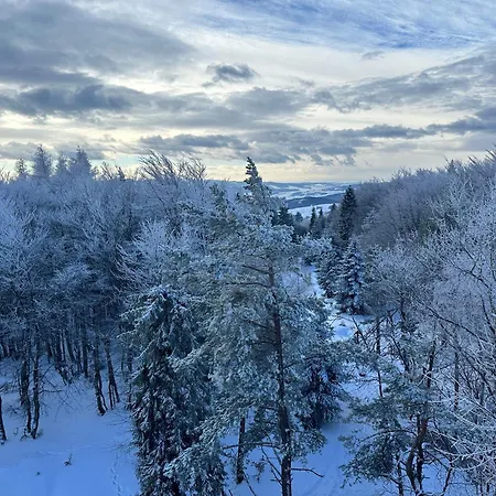 Domki Piwniczna Piwniczna-Zdroj