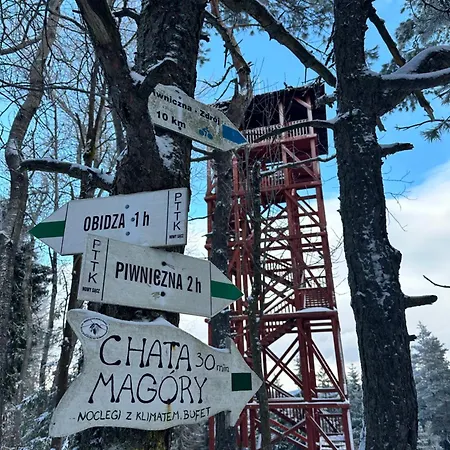 Domki Piwniczna 山林小屋