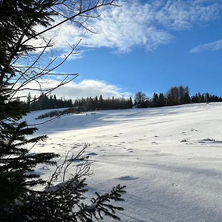 Domki Piwniczna 山林小屋
