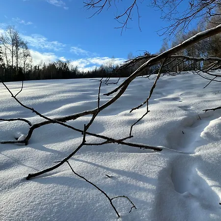 Domki Piwniczna Lodge *