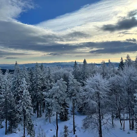 Domki Piwniczna Piwniczna-Zdroj