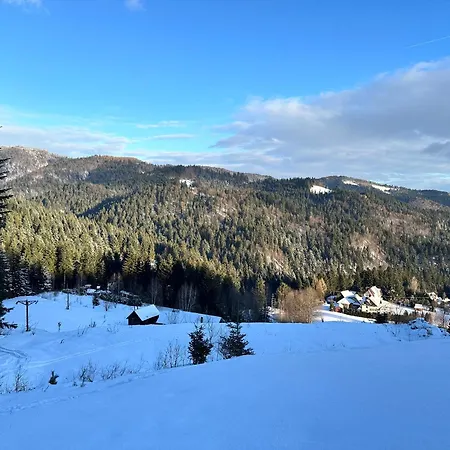 Domki Piwniczna * Piwniczna-Zdroj