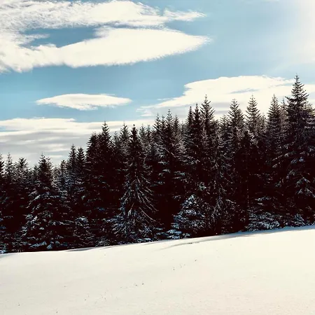 山林小屋 Domki Piwniczna *