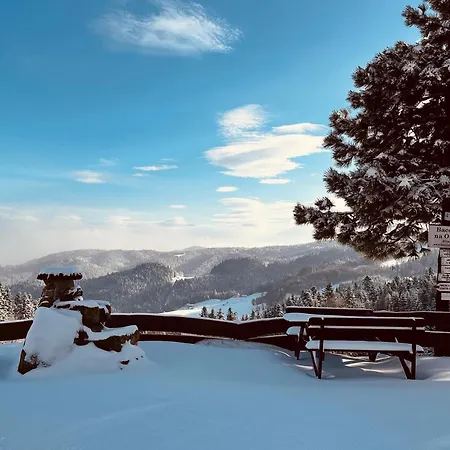 Domki Piwniczna Piwniczna-Zdroj