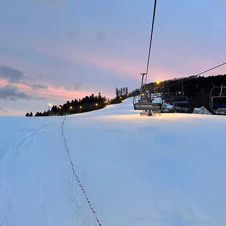 山林小屋 Domki Piwniczna