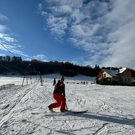 Domki Piwniczna * Piwniczna-Zdroj