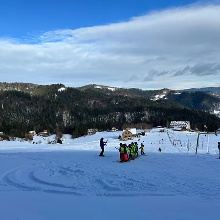 山林小屋 Domki Piwniczna *