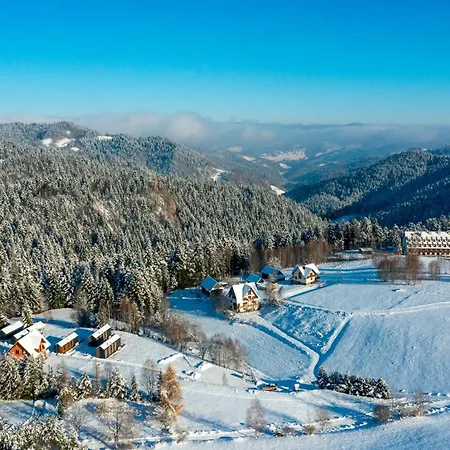 Domki Piwniczna Piwniczna-Zdroj