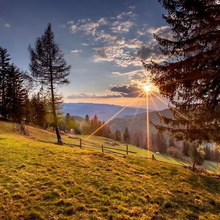 Domki Piwniczna Piwniczna-Zdroj