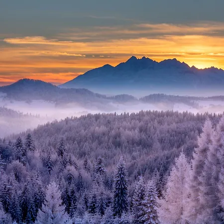 山林小屋 Domki Piwniczna