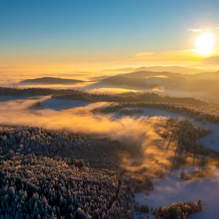 山林小屋 Domki Piwniczna Piwniczna-Zdroj