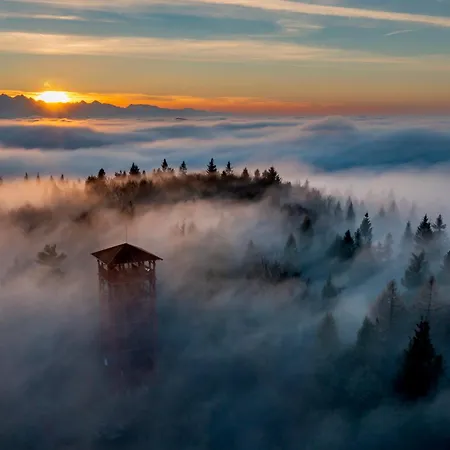 Domki Piwniczna 山林小屋