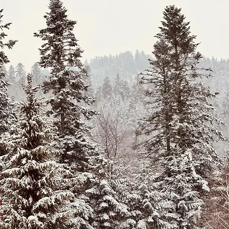 Lodge Domki Piwniczna
