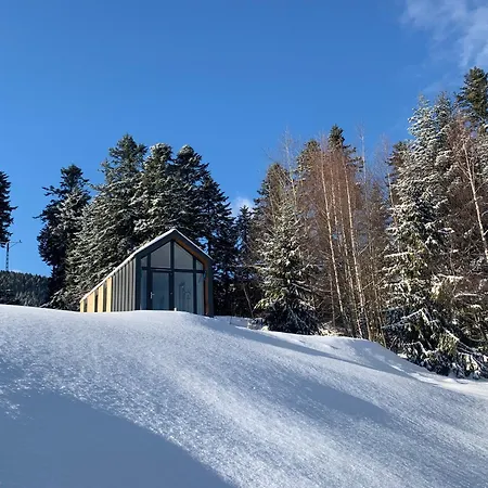 山林小屋 Domki Piwniczna