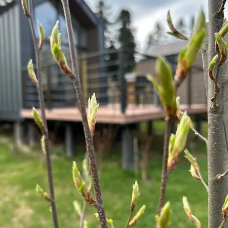 Lodge Domki Piwniczna Piwniczna-Zdroj