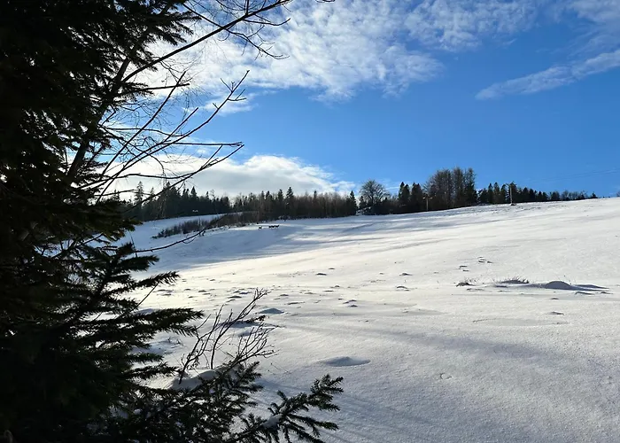 Domki Piwniczna ロッジ