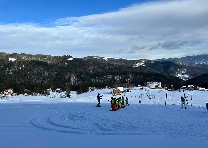 Domek letniskowy Domki Piwniczna *